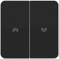 Лицевая панель Jung CD500 для 2-кл. выключателя жалюзи черный картинка